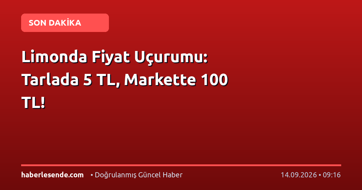 Limonda Fiyat Uçurumu: Tarlada 5 TL, Markette 100 TL!