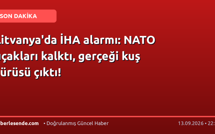 Litvanya'da İHA alarmı: NATO uçakları kalktı, gerçeği kuş sürüsü çıktı!
