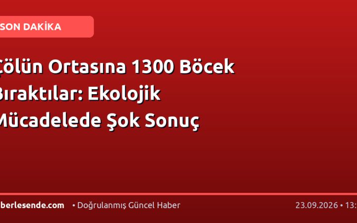 Çölün Ortasına 1300 Böcek Bıraktılar: Ekolojik Mücadelede Şok Sonuç