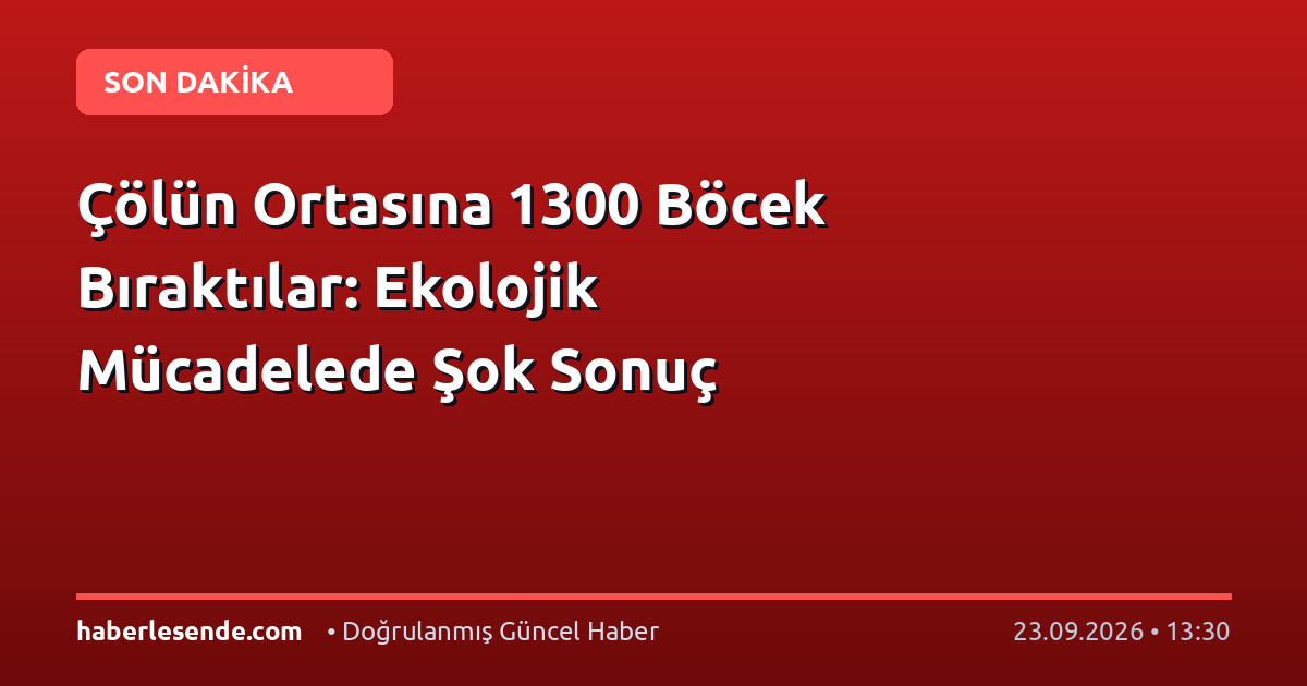 Çölün Ortasına 1300 Böcek Bıraktılar: Ekolojik Mücadelede Şok Sonuç