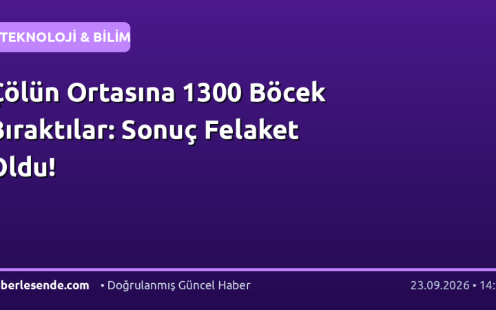 Çölün Ortasına 1300 Böcek Bıraktılar: Sonuç Felaket Oldu!