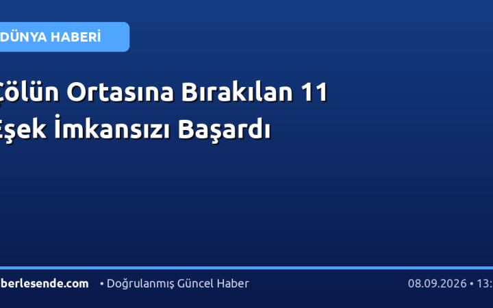Çölün Ortasına Bırakılan 11 Eşek İmkansızı Başardı