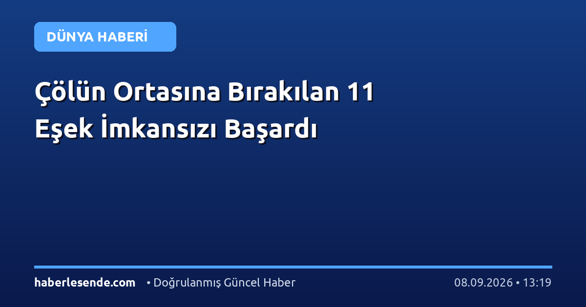 Çölün Ortasına Bırakılan 11 Eşek İmkansızı Başardı