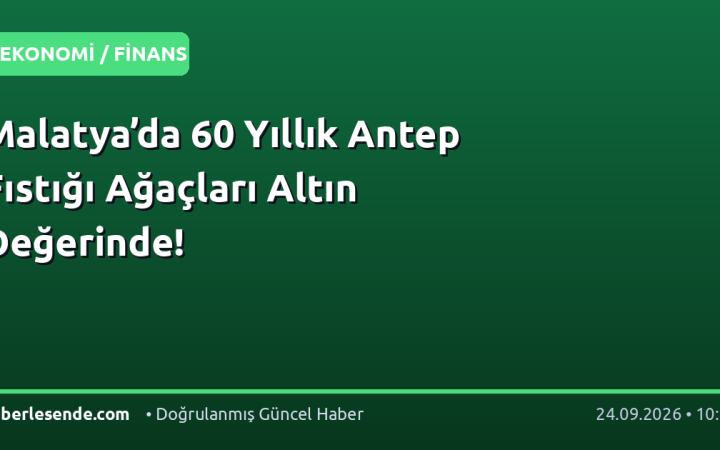 Malatya’da 60 Yıllık Antep Fıstığı Ağaçları Altın Değerinde!