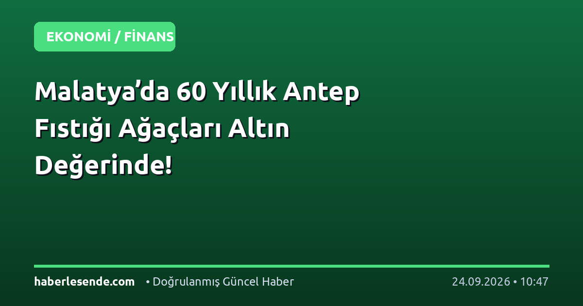 Malatya’da 60 Yıllık Antep Fıstığı Ağaçları Altın Değerinde!