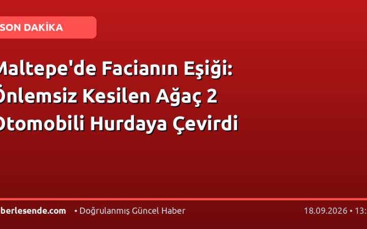 Maltepe'de Facianın Eşiği: Önlemsiz Kesilen Ağaç 2 Otomobili Hurdaya Çevirdi