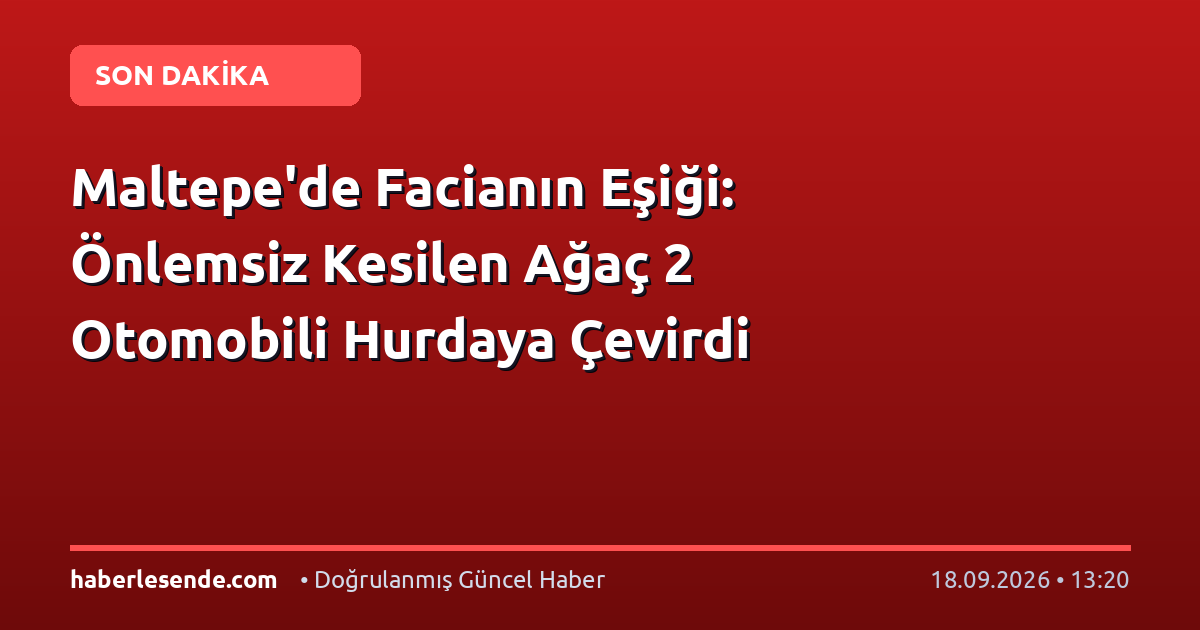 Maltepe'de Facianın Eşiği: Önlemsiz Kesilen Ağaç 2 Otomobili Hurdaya Çevirdi