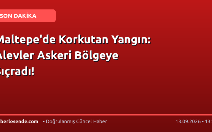 Maltepe'de Korkutan Yangın: Alevler Askeri Bölgeye Sıçradı!