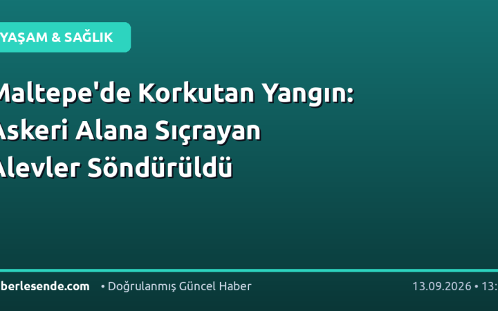Maltepe'de Korkutan Yangın: Askeri Alana Sıçrayan Alevler Söndürüldü