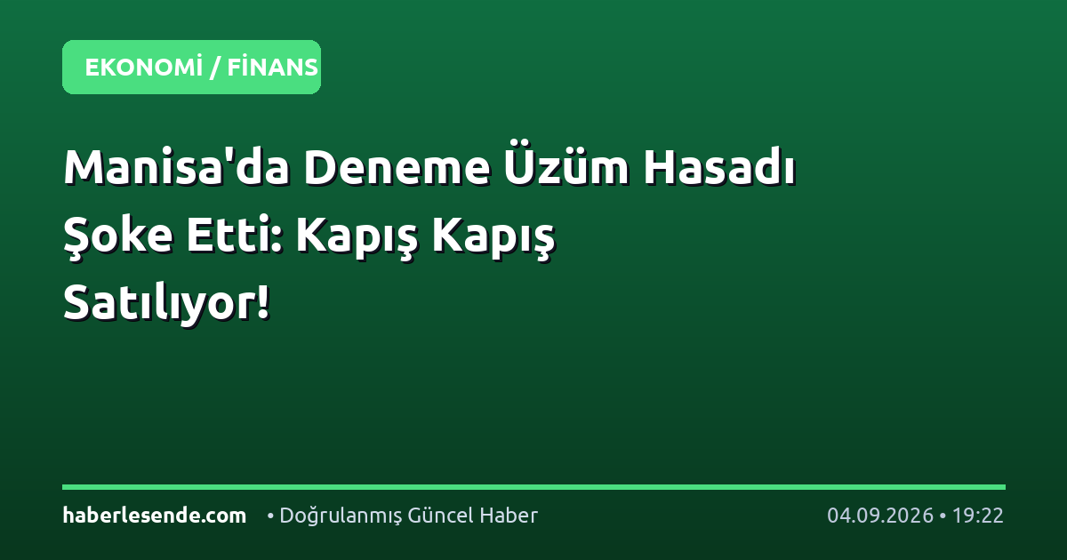 Manisa'da Deneme Üzüm Hasadı Şoke Etti: Kapış Kapış Satılıyor!