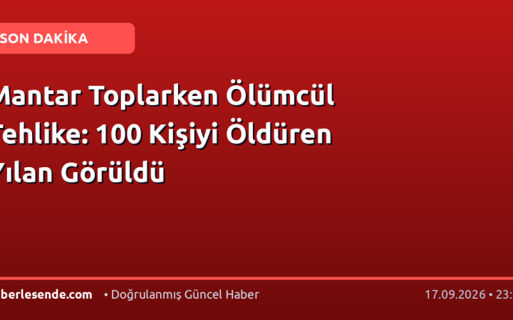 Mantar Toplarken Ölümcül Tehlike: 100 Kişiyi Öldüren Yılan Görüldü