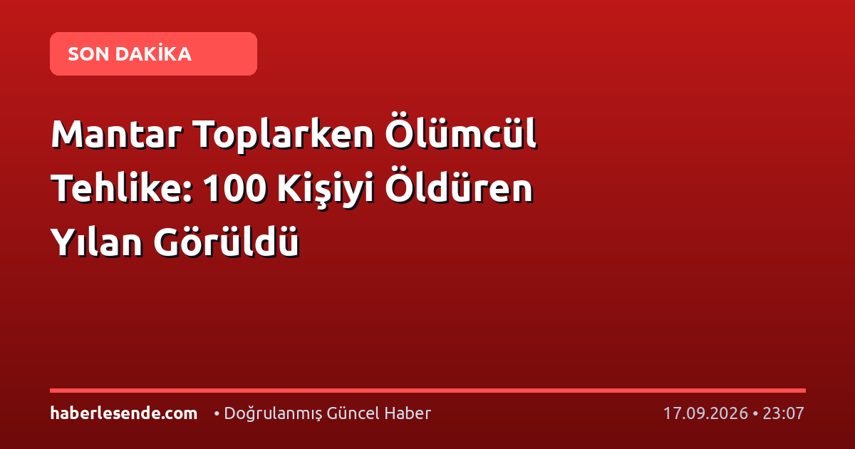 Mantar Toplarken Ölümcül Tehlike: 100 Kişiyi Öldüren Yılan Görüldü