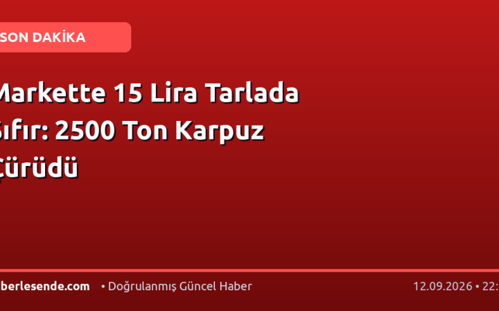 Markette 15 Lira Tarlada Sıfır: 2500 Ton Karpuz Çürüdü
