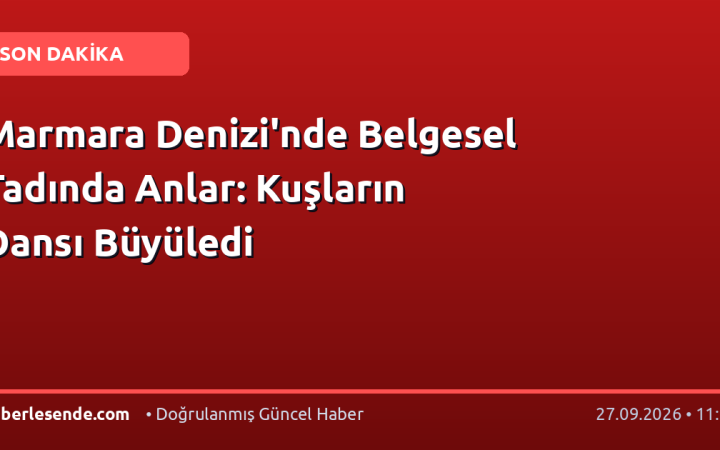 Marmara Denizi'nde Belgesel Tadında Anlar: Kuşların Dansı Büyüledi