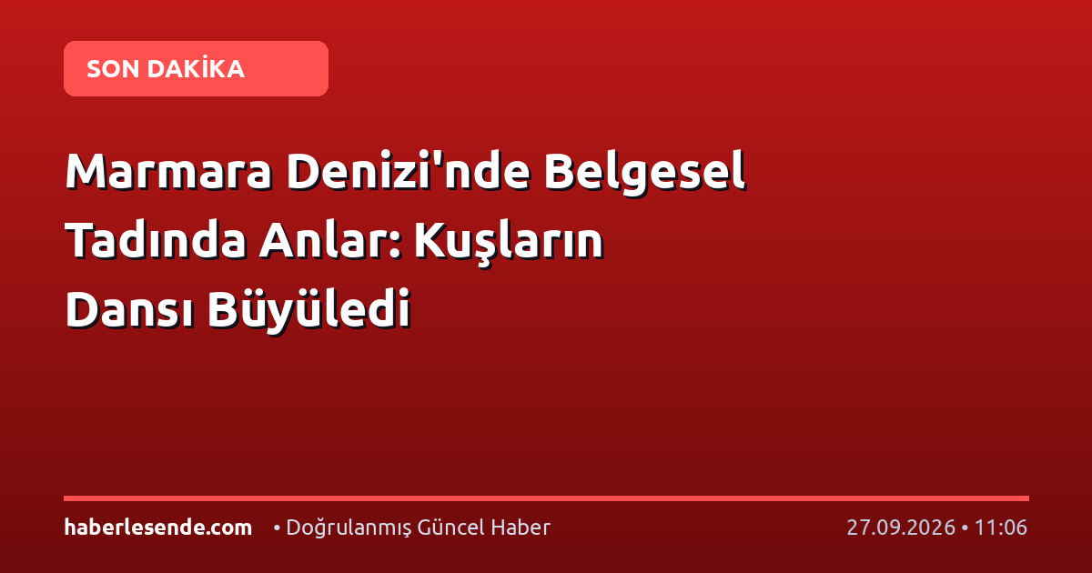 Marmara Denizi'nde Belgesel Tadında Anlar: Kuşların Dansı Büyüledi