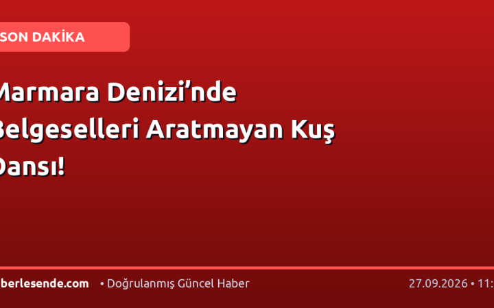 Marmara Denizi’nde Belgeselleri Aratmayan Kuş Dansı!