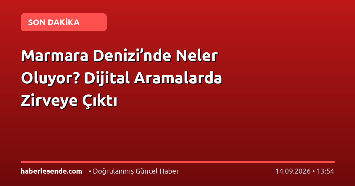 Marmara Denizi’nde Neler Oluyor? Dijital Aramalarda Zirveye Çıktı