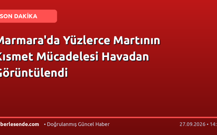Marmara'da Yüzlerce Martının Kısmet Mücadelesi Havadan Görüntülendi