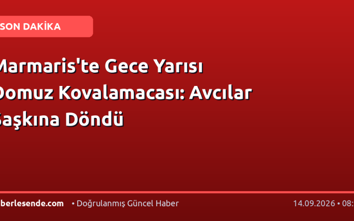Marmaris'te Gece Yarısı Domuz Kovalamacası: Avcılar Şaşkına Döndü