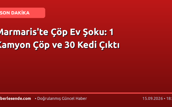 Marmaris'te Çöp Ev Şoku: 1 Kamyon Çöp ve 30 Kedi Çıktı
