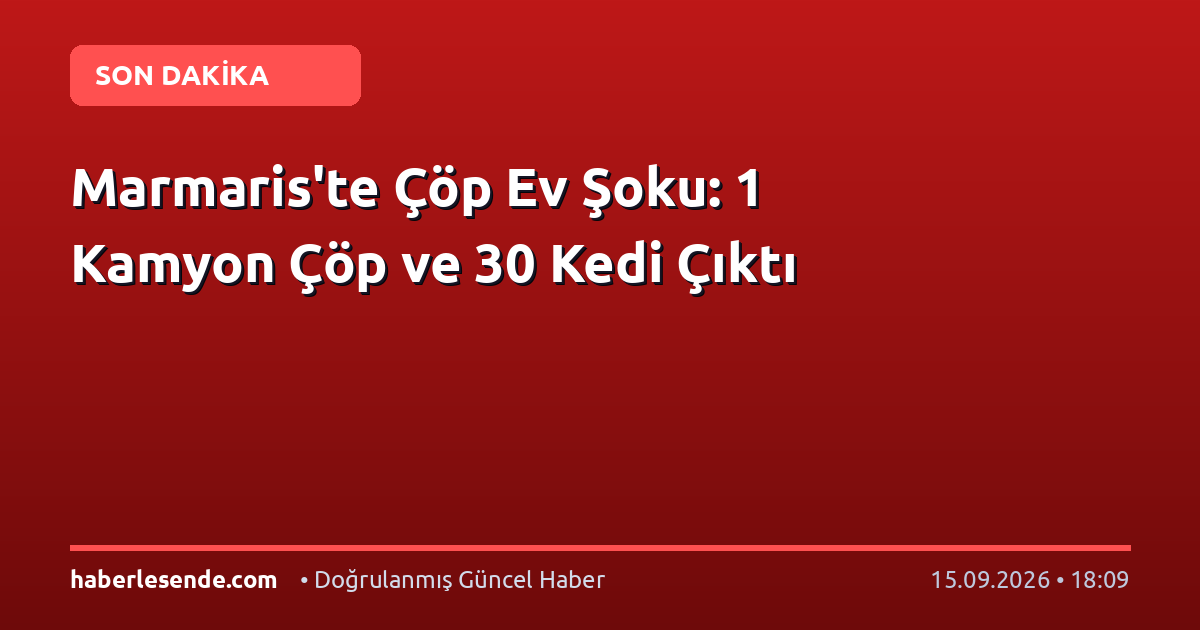 Marmaris'te Çöp Ev Şoku: 1 Kamyon Çöp ve 30 Kedi Çıktı
