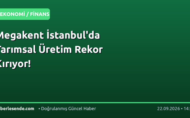 Megakent İstanbul'da Tarımsal Üretim Rekor Kırıyor!
