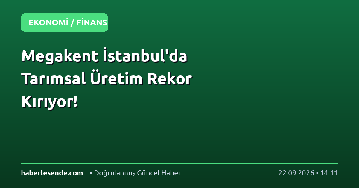 Megakent İstanbul'da Tarımsal Üretim Rekor Kırıyor!
