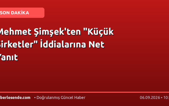 Mehmet Şimşek'ten "Küçük Şirketler" İddialarına Net Yanıt