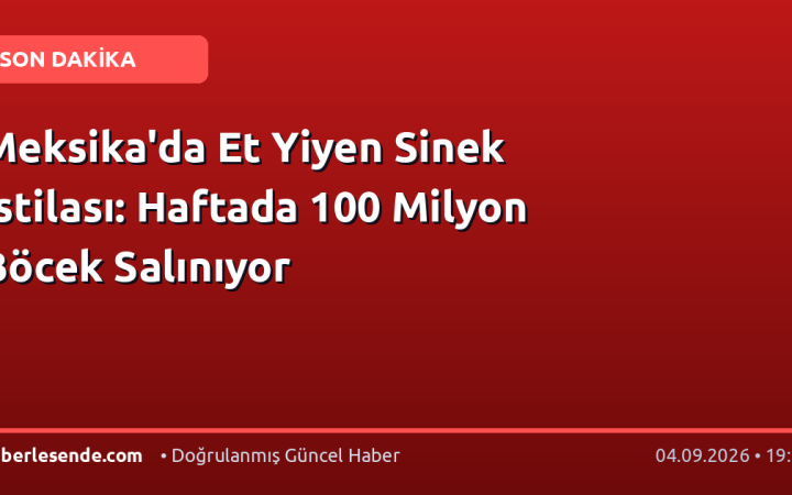 Meksika'da Et Yiyen Sinek İstilası: Haftada 100 Milyon Böcek Salınıyor
