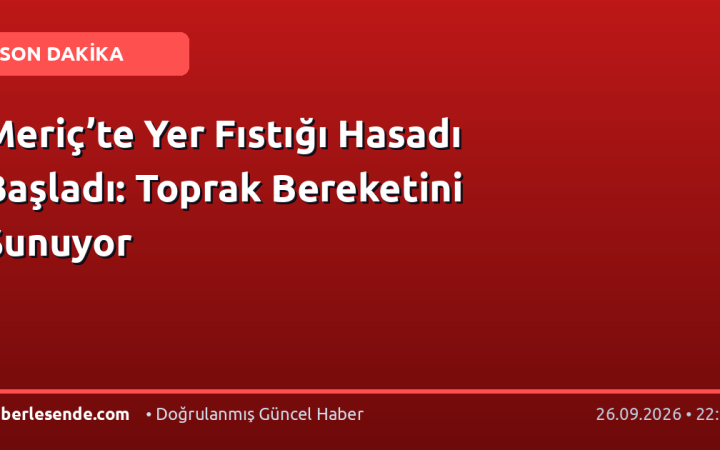 Meriç’te Yer Fıstığı Hasadı Başladı: Toprak Bereketini Sunuyor