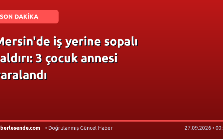 Mersin'de iş yerine sopalı saldırı: 3 çocuk annesi yaralandı