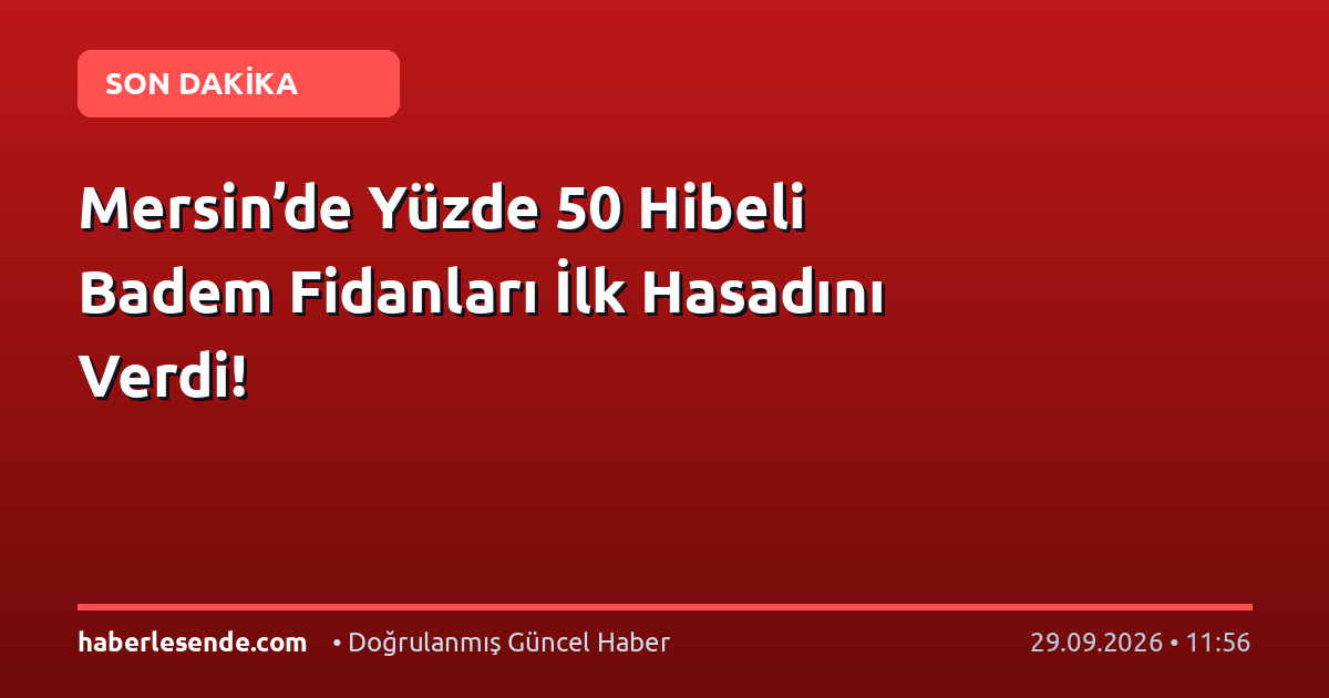 Mersin’de Yüzde 50 Hibeli Badem Fidanları İlk Hasadını Verdi!