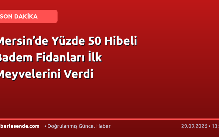 Mersin’de Yüzde 50 Hibeli Badem Fidanları İlk Meyvelerini Verdi