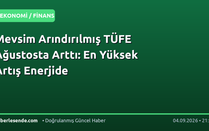 Mevsim Arındırılmış TÜFE Ağustosta Arttı: En Yüksek Artış Enerjide