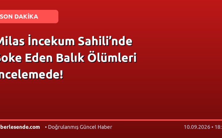 Milas İncekum Sahili’nde Şoke Eden Balık Ölümleri İncelemede!