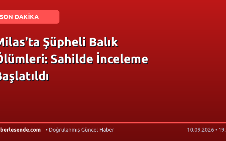 Milas'ta Şüpheli Balık Ölümleri: Sahilde İnceleme Başlatıldı
