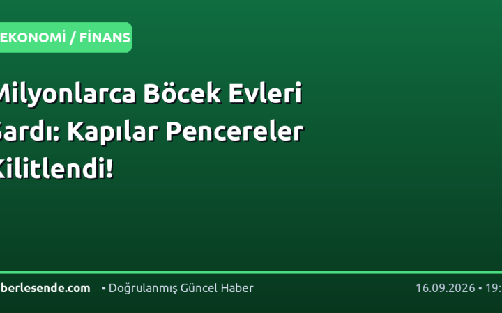 Milyonlarca Böcek Evleri Sardı: Kapılar Pencereler Kilitlendi!