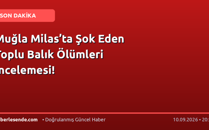 Muğla Milas’ta Şok Eden Toplu Balık Ölümleri İncelemesi!