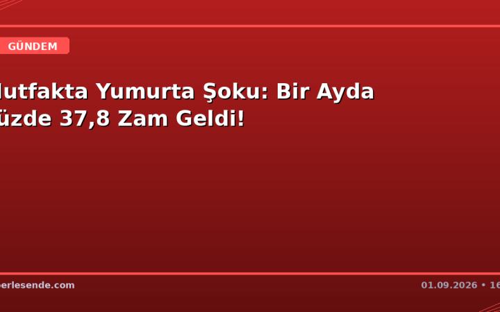 Mutfakta Yumurta Şoku: Bir Ayda Yüzde 37,8 Zam Geldi!