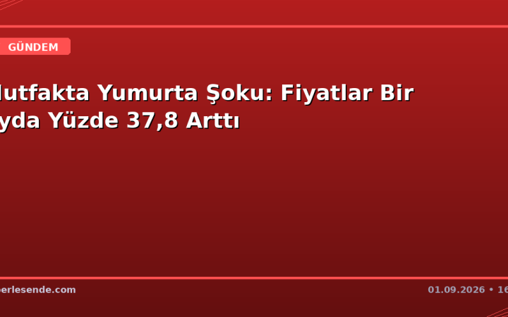 Mutfakta Yumurta Şoku: Fiyatlar Bir Ayda Yüzde 37,8 Arttı