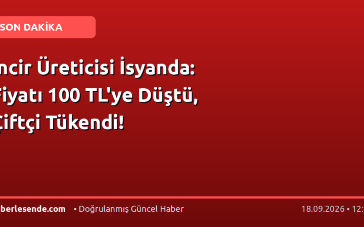 İncir Üreticisi İsyanda: Fiyatı 100 TL'ye Düştü, Çiftçi Tükendi!
