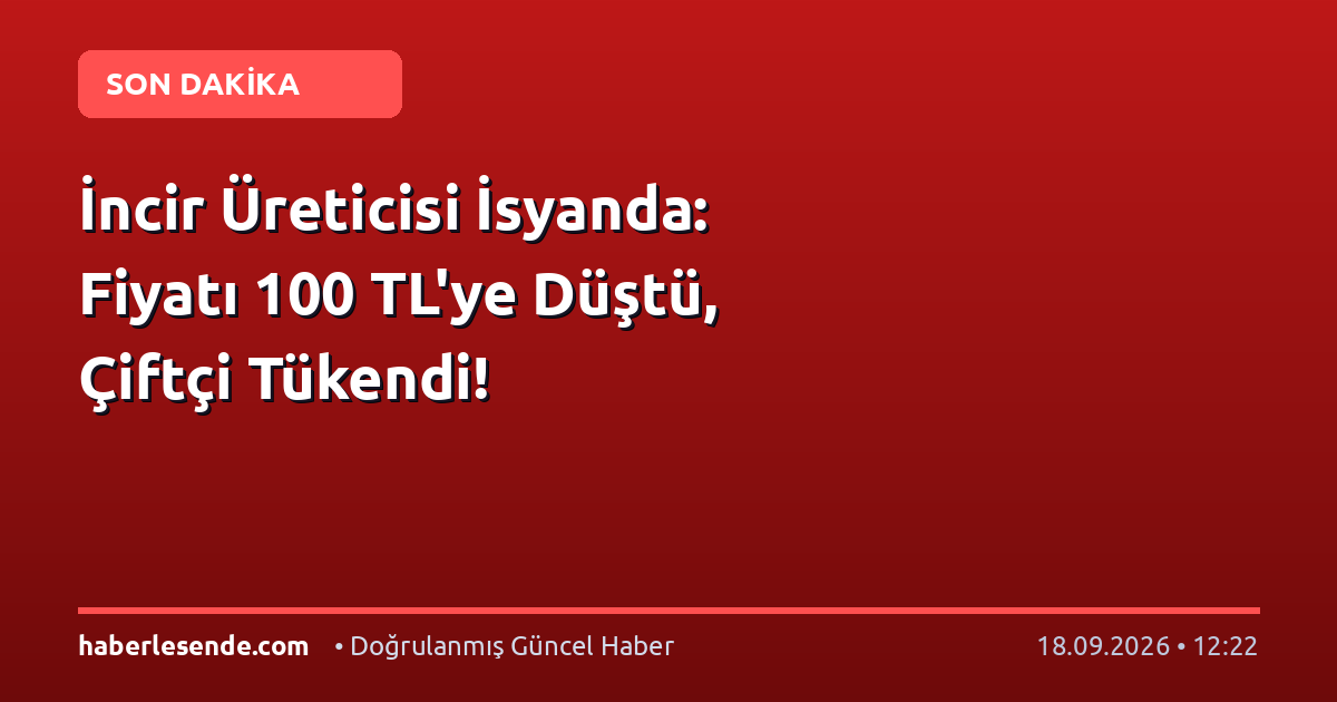 İncir Üreticisi İsyanda: Fiyatı 100 TL'ye Düştü, Çiftçi Tükendi!