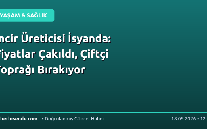 İncir Üreticisi İsyanda: Fiyatlar Çakıldı, Çiftçi Toprağı Bırakıyor