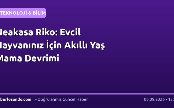 Neakasa Riko: Evcil Hayvanınız İçin Akıllı Yaş Mama Devrimi