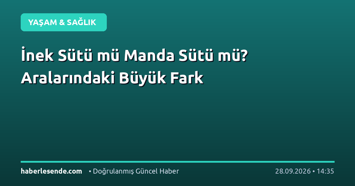 İnek Sütü mü Manda Sütü mü? Aralarındaki Büyük Fark
