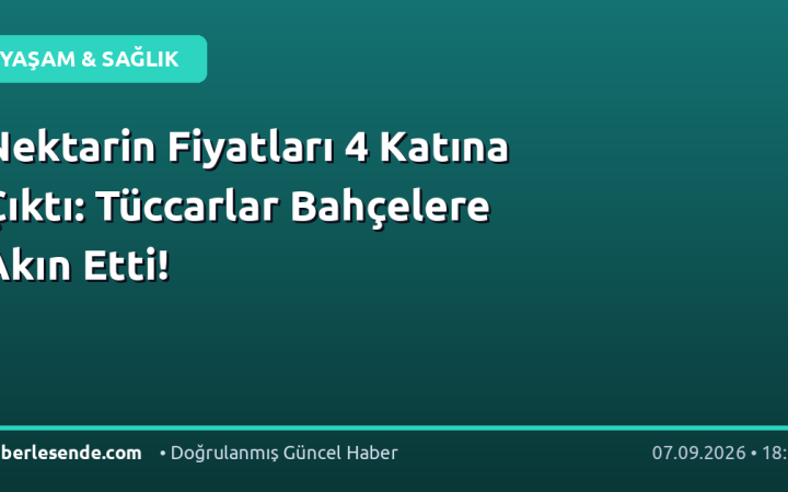 Nektarin Fiyatları 4 Katına Çıktı: Tüccarlar Bahçelere Akın Etti!