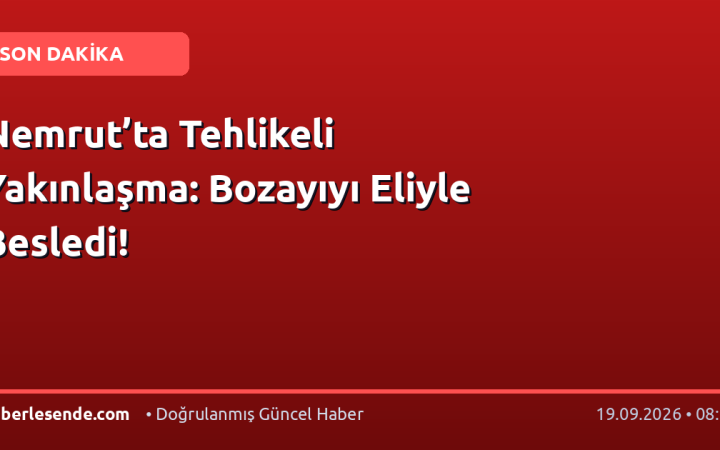 Nemrut’ta Tehlikeli Yakınlaşma: Bozayıyı Eliyle Besledi!