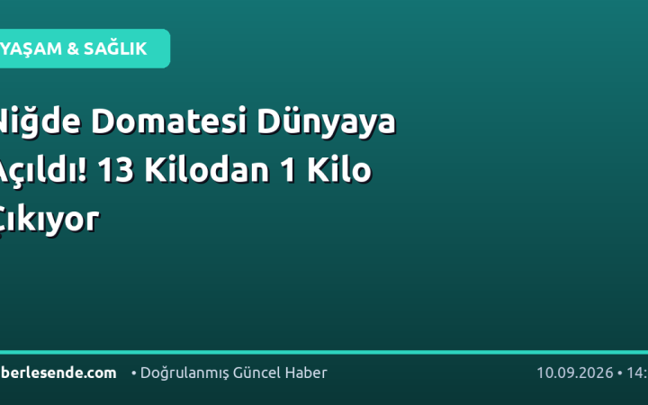 Niğde Domatesi Dünyaya Açıldı! 13 Kilodan 1 Kilo Çıkıyor