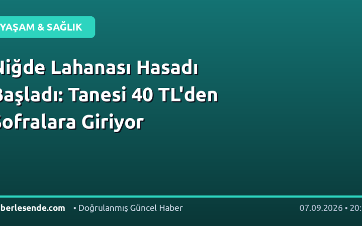Niğde Lahanası Hasadı Başladı: Tanesi 40 TL'den Sofralara Giriyor