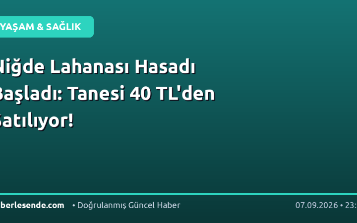 Niğde Lahanası Hasadı Başladı: Tanesi 40 TL'den Satılıyor!